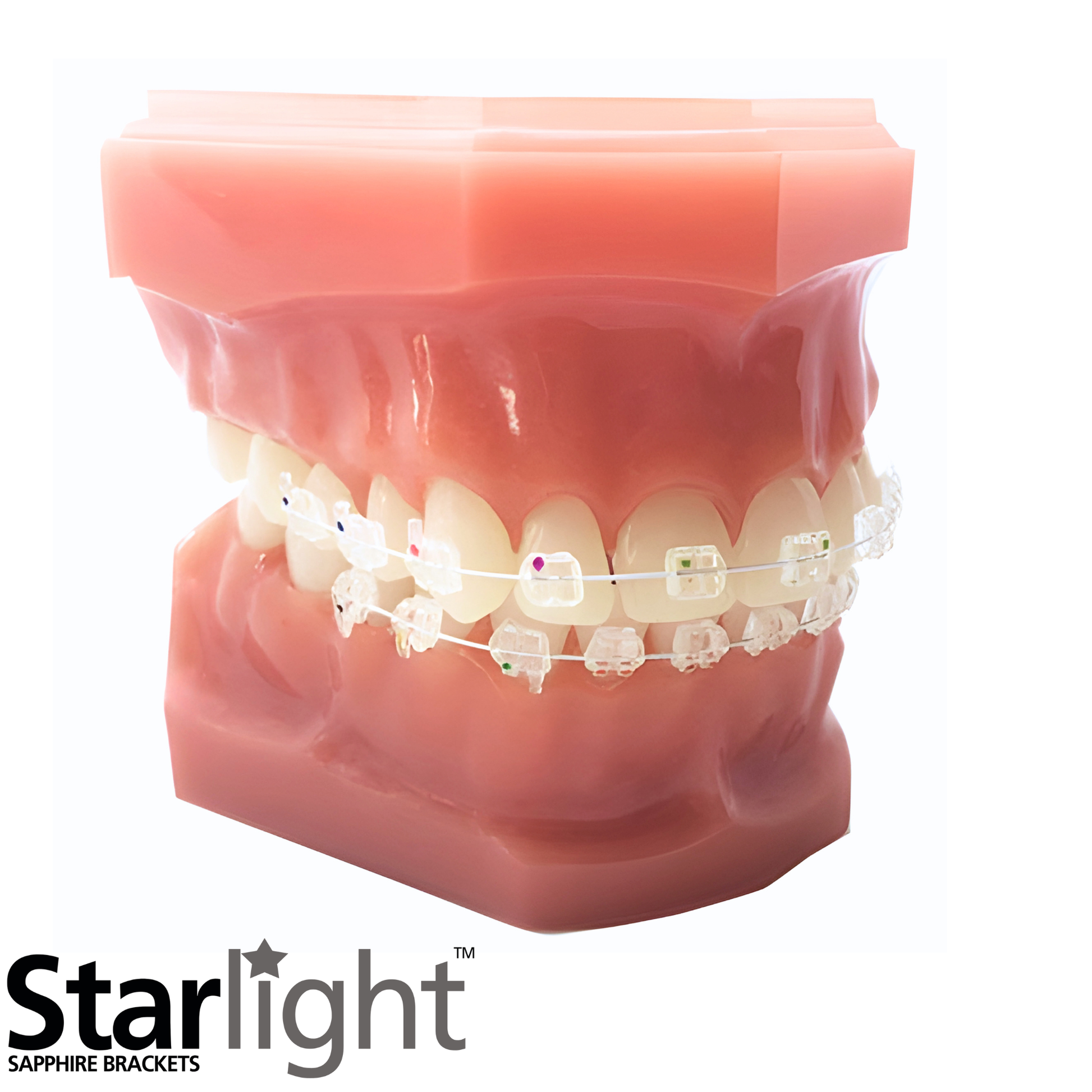 Starlight_Sapphire_Brackets_Clear-Braces_Twin_Brackets_Ceramic_Invisible_Braces_On-Typodont